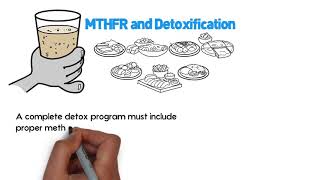 What is MTHFR MTHFR Mutation Explained  MethyleneTetraHydroFolate Reductase [upl. by Lefton507]