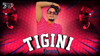 Tigini English Remix 2k24 Dj SRP BD [upl. by Natsirc]