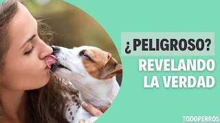 Qué TAN PELIGROSO es DEJAR que TU PERRO te DÉ BESOS 🐶💋 [upl. by Salomon]