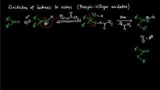 A12 BaeyerVilliger oxidation reaction mechanism [upl. by Elacim]