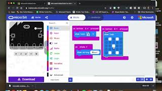 Makecode Microbit Input Demo [upl. by Ralfston314]