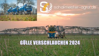 GÜLLE VERSCHLAUCHEN 2024  Schafmeister Agrarservice  Agrometer  8 LKWS [upl. by Devora]