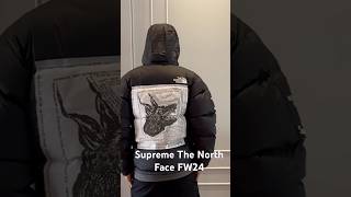 Supreme The North Face FW24 Week 9 Supreme TheNorthFace fw24 supreme thenorthface [upl. by Hibbitts]