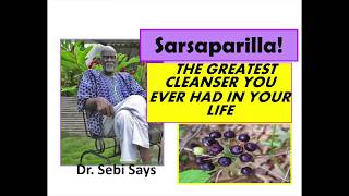 Why Sarsaparilla is the Sparkplug of the Body Dr Sebi [upl. by Enelrahs107]