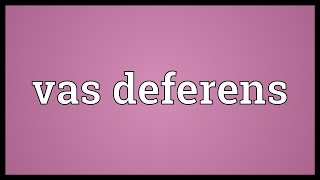 Vas deferens Meaning [upl. by Rodolfo]