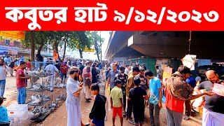 কবুতর হাট ৯১২২০২৩  kobutor hat 2023  pigeon market in bangladesh  hasnabad kobutor hat [upl. by Poul460]