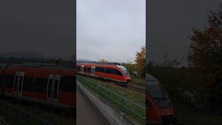 BR 644 029 der Deutsche Bahn in Grenzach deutschebahn dbregio trainspotting shorts yt [upl. by Rombert]