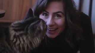 Dodie Dodie and A Cat ReUpload [upl. by Dosia]