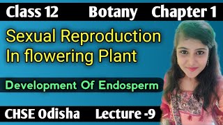 Development Of Endosperm Sexual Reproduction In Flowering Plant Lecture 9 CHSE Odisha [upl. by Nairoc]