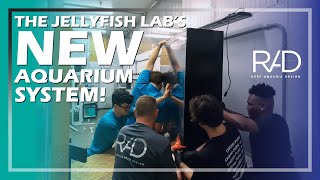 BUILDING A NEW RACK FOR OUR JELLYFISH LAB NEW KREISEL TANKS Part 2  REEF AQUARIA DESIGN [upl. by Nauht]