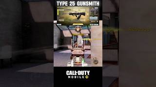 Type 25 Gunsmith for MP Ranked 🤯 [upl. by Mutua]