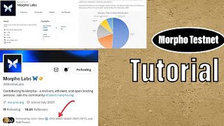 Morpho Testnet Task Completing Tutorial [upl. by Jimmie]
