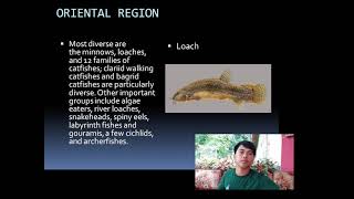 Zoogeography of Freshwater Fishes video reporting Ichthyology Subject [upl. by Beeck]