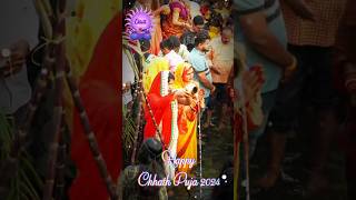 🙏 Happy Chhath Puja 2024 🙏 chhathpuja chhath chhathmahaparv chhathmata chhathmaiya chaathpuja [upl. by Tedra]