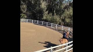 Horseback Riding Lesson November 23 2024 [upl. by Noleta175]