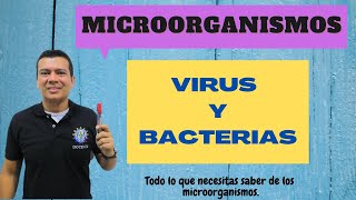 VIRUS Y BACTERIAS que son como se clasifican características e impacto ecológico [upl. by Musihc247]