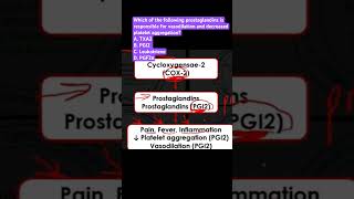 Prostaglandins is responsible for vasodilation and decreased platelet aggregation [upl. by Repmek]