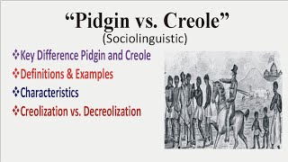 Pidgin and Creole in Sociolinguistics Urdu amp Hindi Pidgin and Creole Examples Linguistics [upl. by Artenahs]