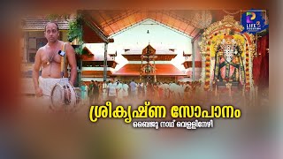 ശ്രീകൃഷ്ണ സോപാനം  ബൈജു നാഥ്‌ വെള്ളിനേഴി  Sopana Sangeetham  Sree Krishna Devotional 2024 [upl. by Anom]