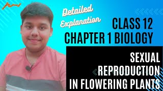 Sexual Reproduction in Flowering Plants in Part 1CBSE Class 12 biologyNCERT Biology [upl. by Katherine]