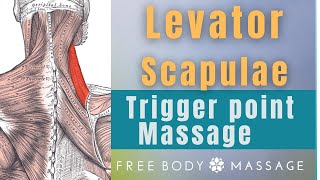 Trigger Point Massage of Levator Scapulae [upl. by Atsahc]