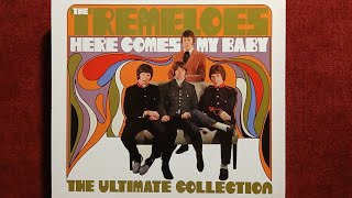 THE TREMELOES  DO I LOVE YOU 1974 [upl. by Hodge]