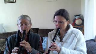 Treble alto Recorder duet El Mishyo Guatemalan traditional on dolmetsch amp moeck recorders [upl. by Navak]