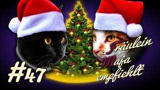 KATZENSICHERER WEIHNACHTSBAUM  so wird der Weihnachtsbaum katzensicher Maja empfiehlt Teil 47 [upl. by Notaes566]