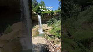 Scheidegger Wasserfall blumennatur wasserfall [upl. by Anomis154]