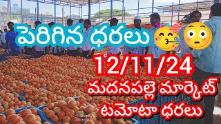 121124 Madanapalle Tomato Market price Today  Today Tomato Market Rate in Madanapalle today [upl. by Bashee210]