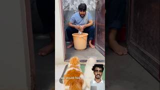 maalik ke bure din aa gye🤣😂 cat viralcat catvideo catcomedy [upl. by Ajani]