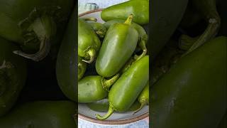 HOW TO Use Up all those Jalapenos [upl. by Plafker335]