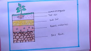 How To Draw Soil Profile EasyDraw Layers Of Soil Diagram [upl. by Mariellen]