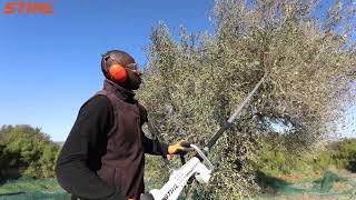 Ramasseur dolives SP 481  STIHL Tunisie [upl. by Nodnas]