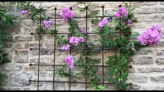 Garden Trellis by Harrod Horticultural [upl. by Ecirtak]