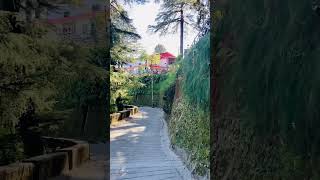 nature naturestatus relaxing naturelovers energies trending viralshort viralvideos shorts [upl. by Angid]