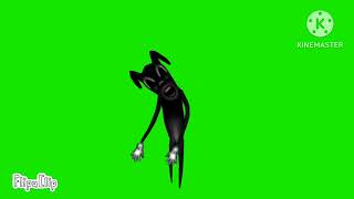 Cartoon Dog Green Screen Jumpscare [upl. by Allison]