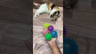 Glitter ball reverse shorts reversevideo shortsfeed [upl. by Esej201]