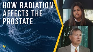 How Radiation Affects The Prostate  Mark Scholz MD [upl. by Heiney]