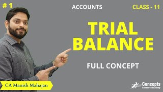 How to make TRIAL BALANCE  Format of Trial Balance  Class 11  Accounts [upl. by Maggi]