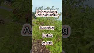 Find the adjective  Adjective  English grammar  Shorts  Learn with me adjective [upl. by Alleira]