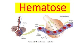 ENTENDA TUDO SOBRE A HEMATOSE [upl. by Odicalp]