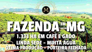 FAZENDA DE CAFÉ EM MG DUPLA APTIDÃO COM MUITA ÁGUA MEGA ESTRUTURA ASFALTO NA PORTA  MercadodeAtivos [upl. by Coleen]