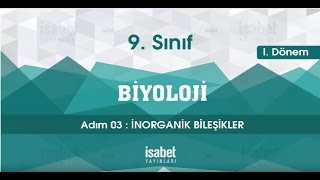 9 Sınıf Biyoloji – Ders 3 – İnorganik Bileşikler [upl. by Merwyn718]