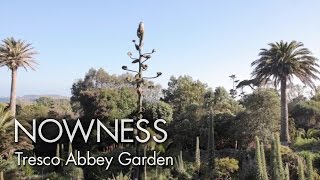 “Tresco Abbey Garden” by Howard Sooley [upl. by Jody]