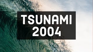 Tsunami 2004 Caught On Camera  Original Footage HD [upl. by Aileno]