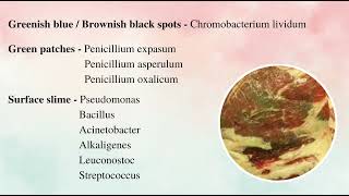 Spoilage Microorganisms in Meat 🍖🥩🍗gate2023gatexlgatefoodmicrobiologymicrobiologycfsocfsoto [upl. by Welby]