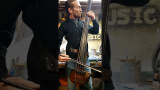 Five String Electric Upright Bass Arco and Pizzicato Loops [upl. by Iman893]