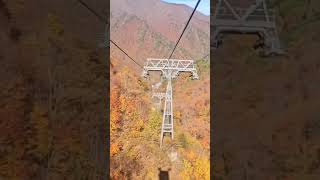 japan  autumn  autumn2024  tanigawadake  gunma  mountain  mountainview  ropeway [upl. by Arlena107]