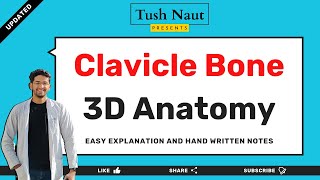 Clavicle bone anatomy 3d  Easy handwritten notes clavicle anatomy [upl. by Karlen]